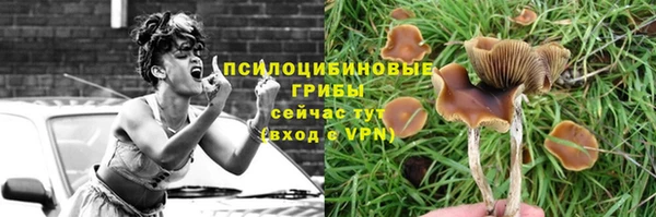 кокаин премиум Алексин