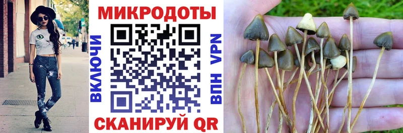 продажа наркотиков  Ермолино  Псилоцибиновые грибы Psilocybe 
